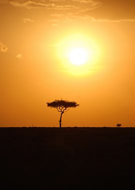 Le Kenya